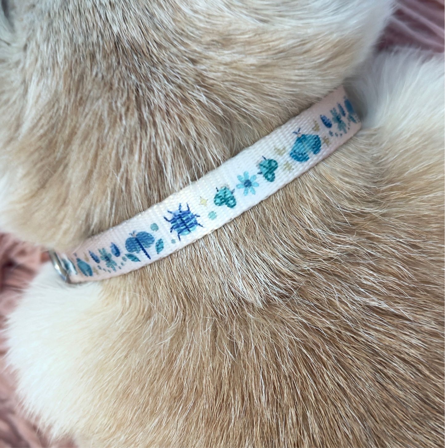 Blue-tiful Bugs Mini Collar