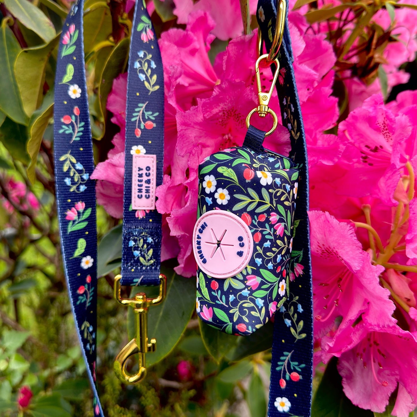 Twilight Blooms Lead