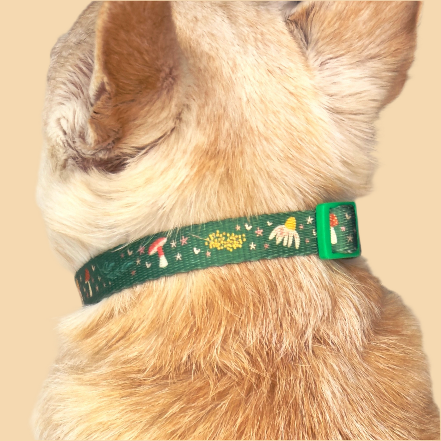 Woodland Wander Mini Collar