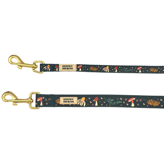 Woodland Wander Lead
