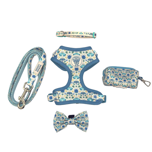 Blue-tiful Bugs bundle with Mini collar xxs