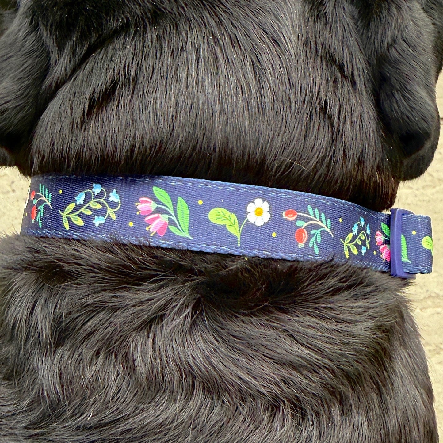 Twilight Blooms Collar