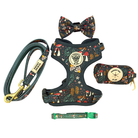 Woodland Wander Bundle Mini Collar XXS